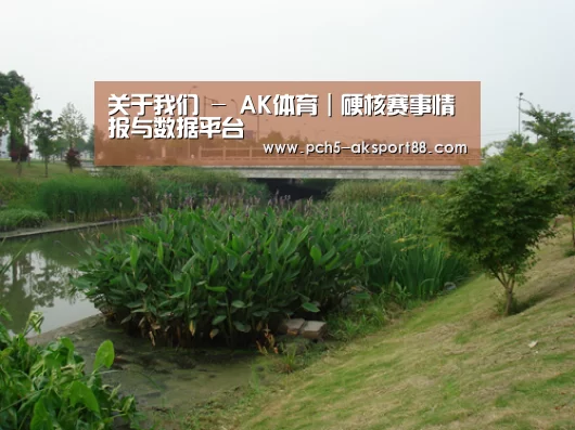案例展示四(图1)