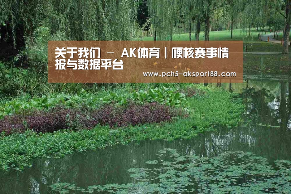 案例展示一(图1)