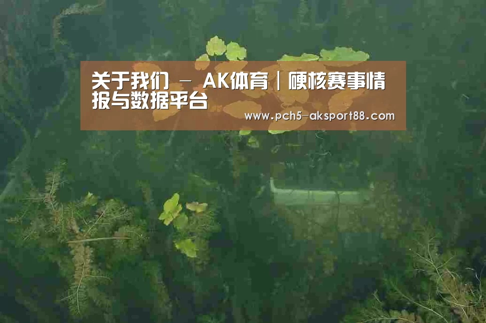案例展示三