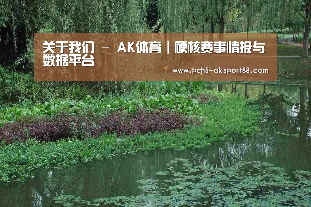 案例展示一