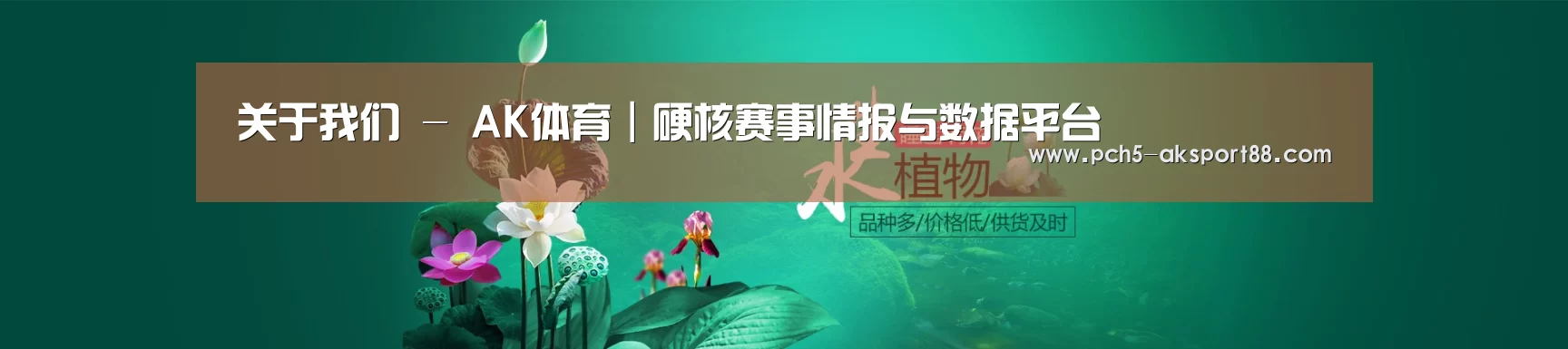 鲜花水草花卉网站模板