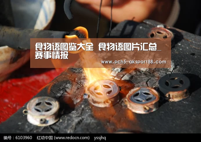  体育数据平台