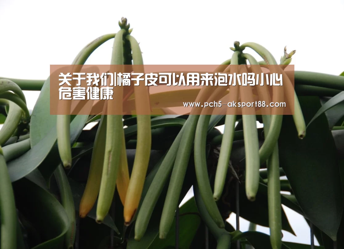  赛事情报